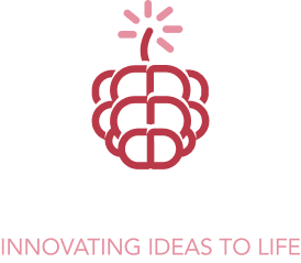 SaaSberry Innovation Laboratories